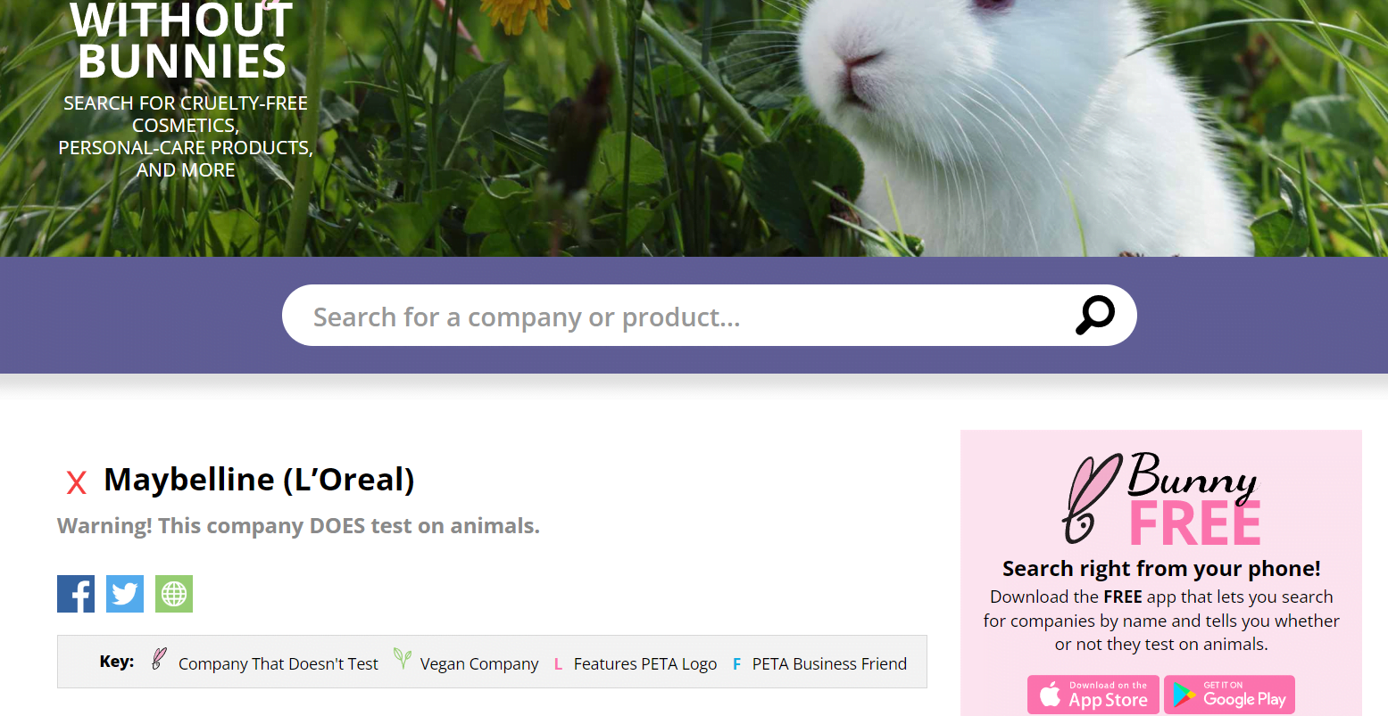 Does Maybelline Test on Animals? Product Analogy